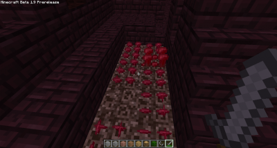 Nether Warts v pevnosti Nether Warts v pevnosti