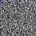 HLUK