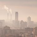 SMOG