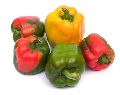 PAPRIKA