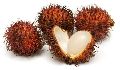 RAMBUTAN