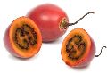 TAMARILO