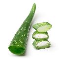 ALOE
