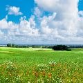 LOUKA