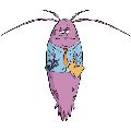 PLANKTON