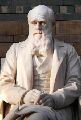 DARWIN
