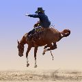 RODEO