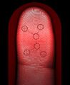 BIOMETRIE