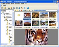 XnView XnView
