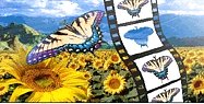 Zoner Gif Animátor Zoner Gif Animátor
