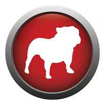 BullGuard