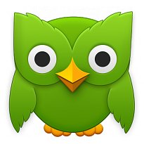 Duolingo (mobilní)