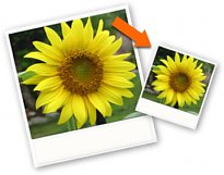 Image Resizer