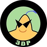 3DP Chip