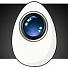 Netcam Studio