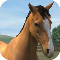 My Horse (mobilní)