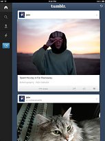 Pohodlná správa blogu Tumblr (mobilní) Pohodlná správa blogu