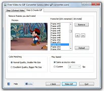 Free Video to GIF Converter