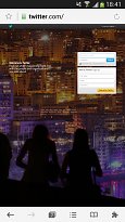 Twitter Twitter