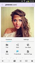 Pinterest Mercury Browser (mobilní) Pinterest