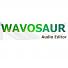 Wavosaur