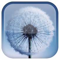 Galaxy S3/S4 Živá tapeta (mobilní)