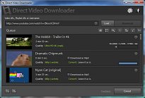 Seznam stahování Direct Video Downloader Seznam stahování