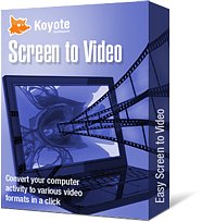 Screen to Video