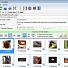 Bulk Image Downloader
