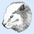 DBeaver