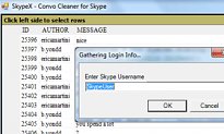 SkypeX SkypeX