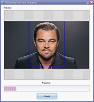 Face Crop Jet