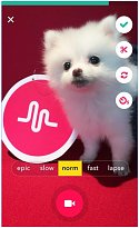 Nastavení TikTok (mobilní) Nastavení