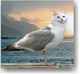 Vtipná úprava FotoMix Vtipná úprava