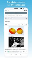 Překladač Kiwi Browser (mobilní) Překladač