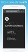 Inkognito Kiwi Browser (mobilní) Inkognito
