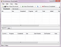 Simultaneous Internet Downloader Simultaneous Internet Downloader