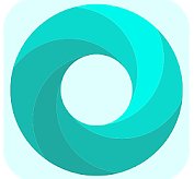 Mint Browser (mobilní)