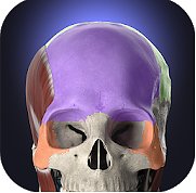 Anatomyka (mobilní)