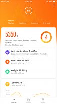 Denní status Mi Fit (mobilní) Denní status