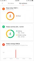 Aktivita Mi Fit (mobilní) Aktivita
