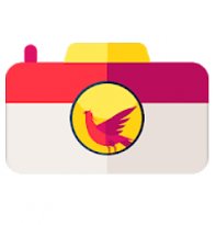 Phoenix Camera (mobilní)