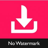 Video Downloader for TikTok – TikMate (mobilní)