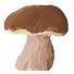 Mushroomizer (mobilní)