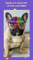 PetStar (mobilní)