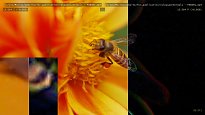 video-compare