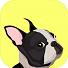 EveryDoggy (mobilní)