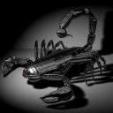 Dracek